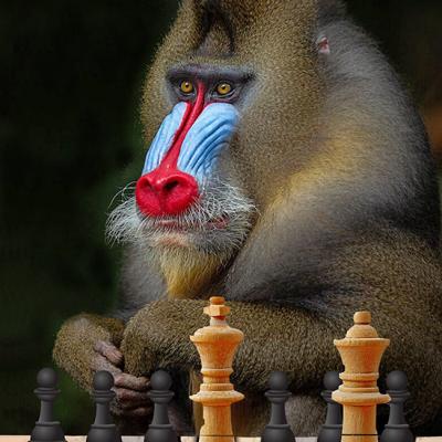 Mandrill Velemajstor